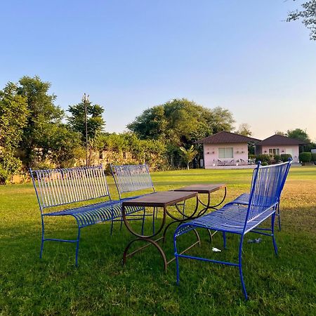 Gazibo Elegant Farm Stay With Swimming Pool ジャイプール エクステリア 写真